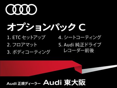 2025 AUDI Q6 E-TRON 照片 80
