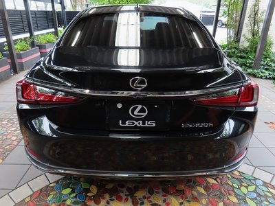 2024 Lexus ES photo 14