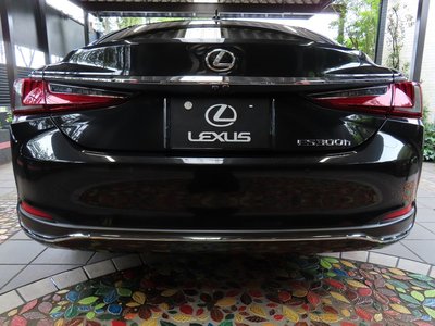 2024 Lexus ES photo 15