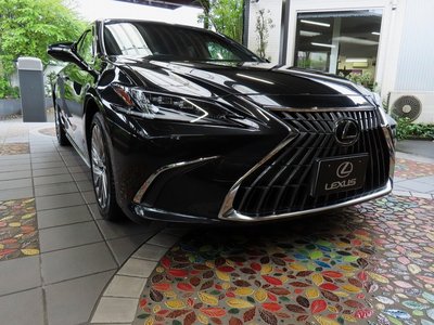 2024 Lexus ES thumbnail 48