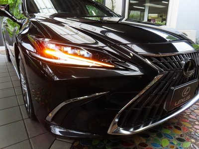 2024 Lexus ES photo 12