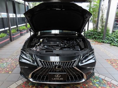 2024 Lexus ES thumbnail 86