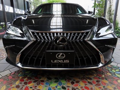 2024 Lexus ES photo 8