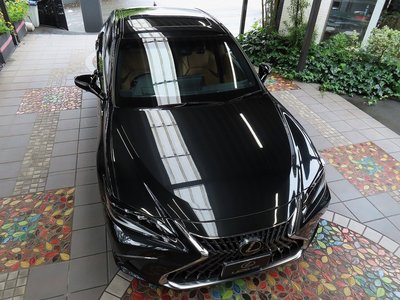 2024 Lexus ES thumbnail 19