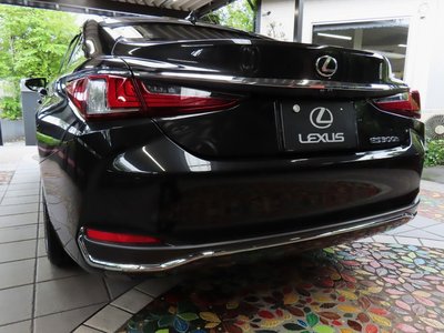 2024 Lexus ES photo 6