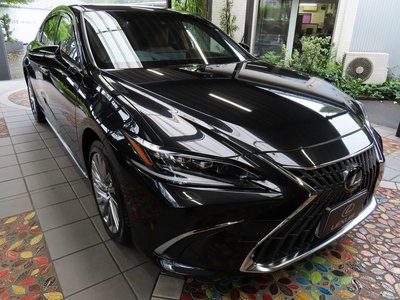 2024 Lexus ES thumbnail 25