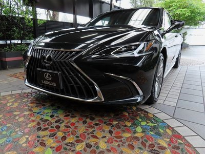 2024 Lexus ES thumbnail 50