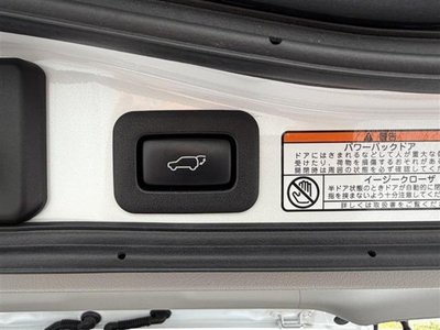2020 Lexus LX 照片 20