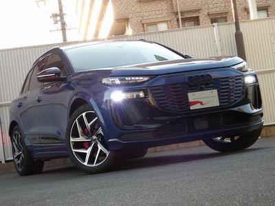 2025 AUDI Q6 E-TRON photo 185