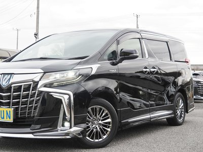 2020 Toyota ALPHARD 缩略图 18