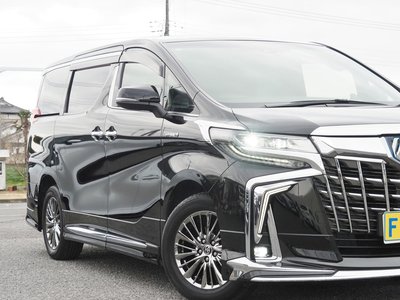 2020 Toyota ALPHARD 缩略图 17