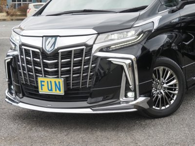 2020 Toyota ALPHARD 缩略图 11