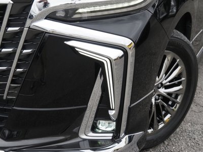 2020 Toyota ALPHARD 缩略图 14