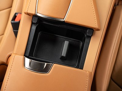 2021 Lexus LC CONVERTIBLE 照片 52