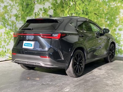 2024 Lexus NX — миниатюра 6