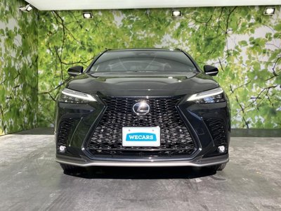 2024 Lexus NX — миниатюра 47