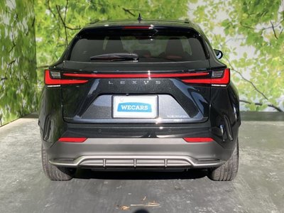 2024 Lexus NX — миниатюра 48