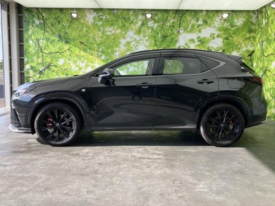 2024 Lexus NX — миниатюра 5