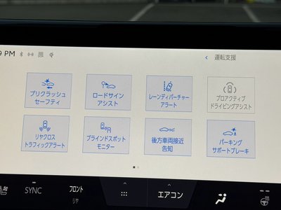 2025 Toyota ALPHARD thumbnail 59