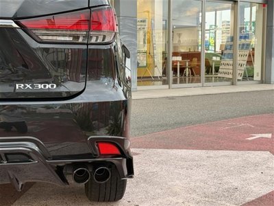 2020 Lexus RX thumbnail 33