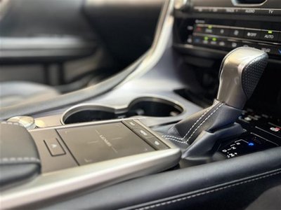 2020 Lexus RX photo 16