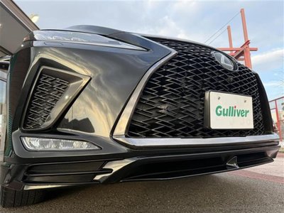 2020 Lexus RX thumbnail 29