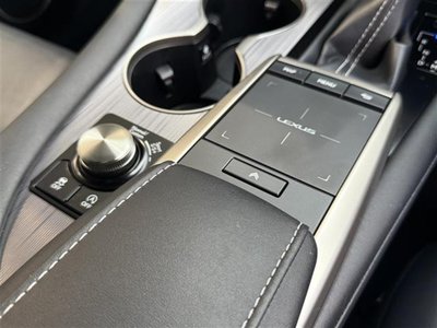 2020 Lexus RX thumbnail 19