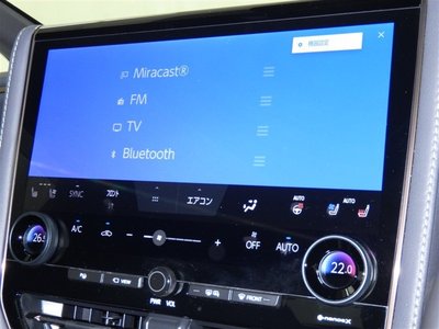 2024 Toyota ALPHARD 照片 13