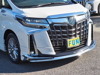 2021 Toyota ALPHARD — фото 11