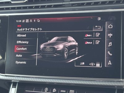 2024 AUDI RS Q8 thumbnail 54