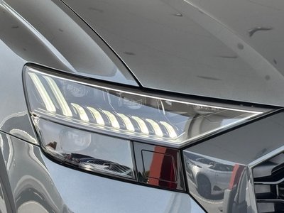 2024 AUDI RS Q8 thumbnail 23