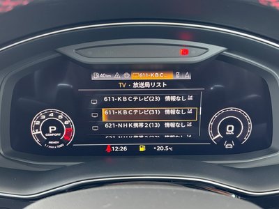 2024 AUDI RS Q8 thumbnail 98