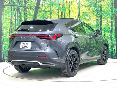 صورة 17 لـ 2023 Lexus NX