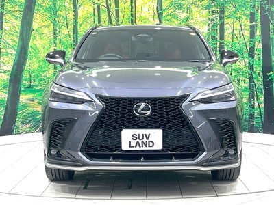 صورة 15 لـ 2023 Lexus NX