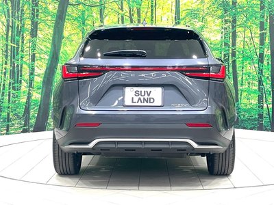 صورة 16 لـ 2023 Lexus NX
