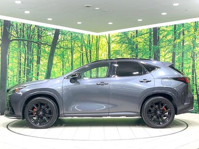 صورة 32 لـ 2023 Lexus NX