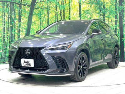 صورة 31 لـ 2023 Lexus NX