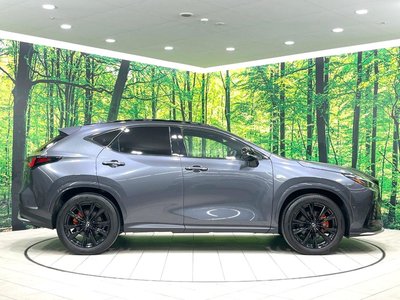 صورة 34 لـ 2023 Lexus NX