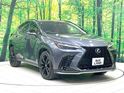 صورة 35 لـ 2023 Lexus NX