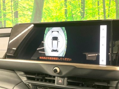 2025 Toyota CROWN SPORT 照片 61