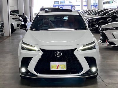صورة مصغرة 9 لـ 2023 Lexus NX
