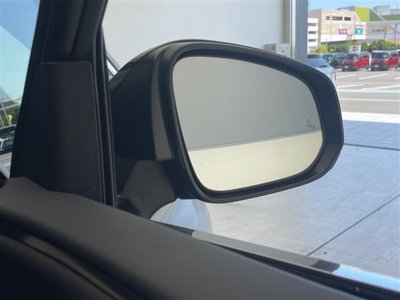 2025 Toyota ALPHARD 照片 37