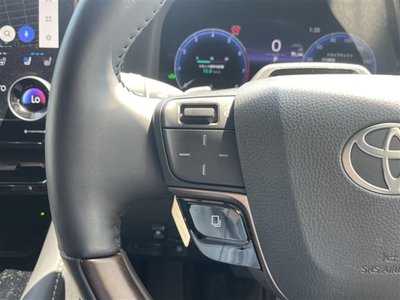2025 Toyota ALPHARD 照片 11