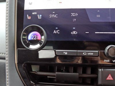 2024 Toyota ALPHARD 照片 12