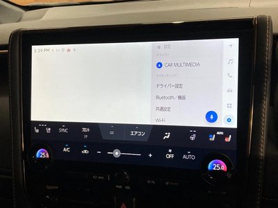 2025 Toyota ALPHARD 照片 52