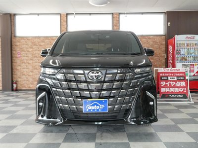 2023 Toyota ALPHARD 照片 51