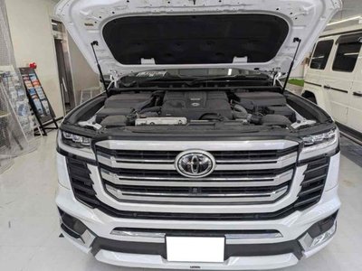 2024 Toyota LAND CRUISER 300 thumbnail 49