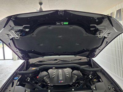 2020 BMW X5 M 照片 29