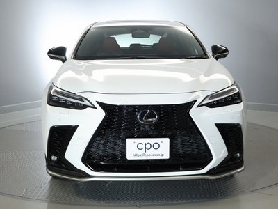 2023 Lexus NX — фото 2