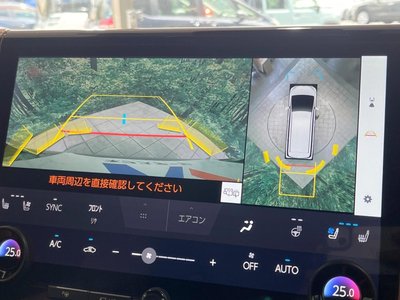 2024 Toyota VELLFIRE 照片 6